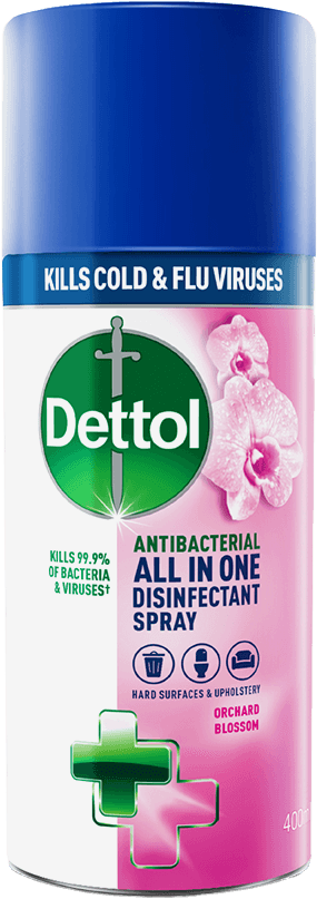 DETTOL ALL IN ONE DISINFECTANT SPRAY ORCHARD BLOSSOM